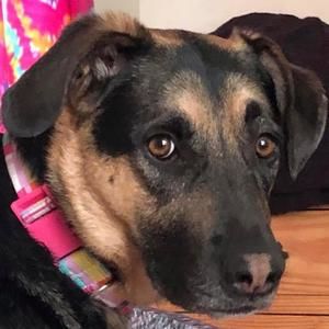 Meet your Posher, Mary